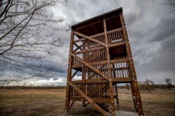 Kilátó a Bivalyrezervátumban Kápolnapusztán