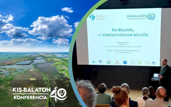 Kis-Balaton 40