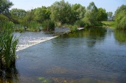 Kis-Balaton
