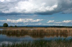 Kis-Balaton