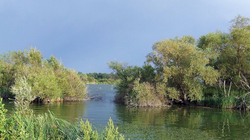 Kis-Balaton