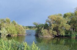 Kis-Balaton