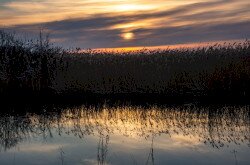 Kis-Balaton