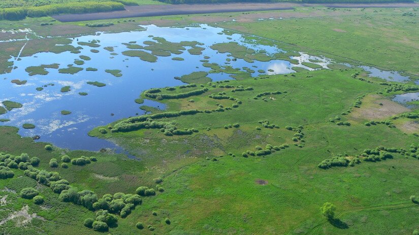 Kis-Balaton - felülnézet