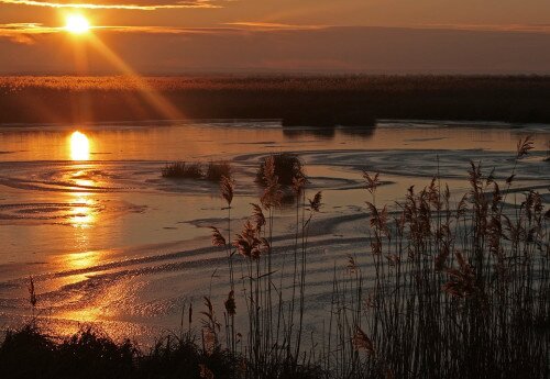 Kis-Balaton nature trails