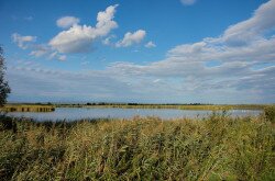 Kis-Balaton látkép