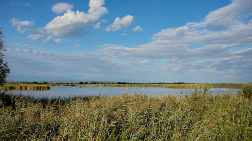 Kis-Balaton látkép
