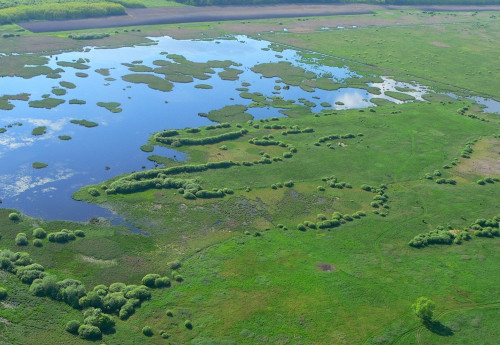 Szakvezetés a Kis-Balatonnál