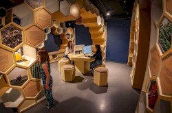 Kis-Balaton Látogatóközpont, kiállítás