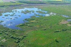 Kis-Balaton madártávlatból