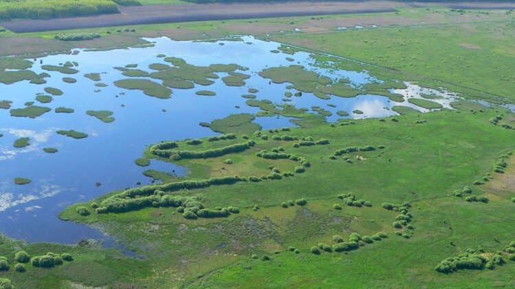Kedvezmények - Kis-Balaton