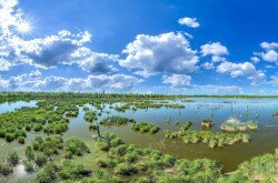 Kis-Balaton panoráma légifotó