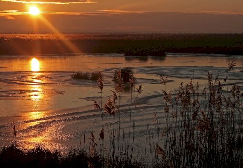 Kis-Balaton tanösvények