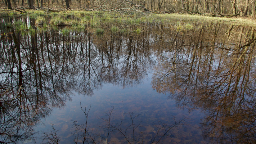 Kis-Rakottyás See, Kovácsi Berg