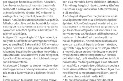 Kitaibel tanösvény 2. tábla