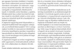 Kitaibel tanösvény 2. tábla