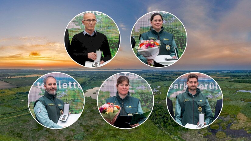 Kitüntetett kollégáink