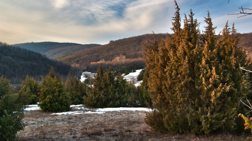 Koloska Valley, Balatonfüred