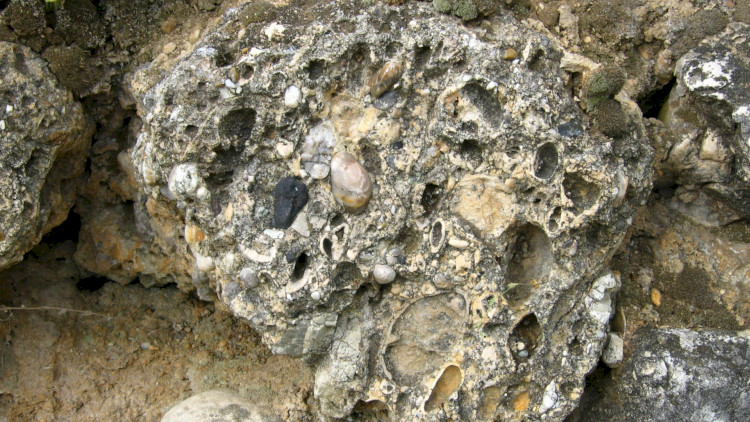 Mogyorós-domb Naturschutzgebiet, Sümeg