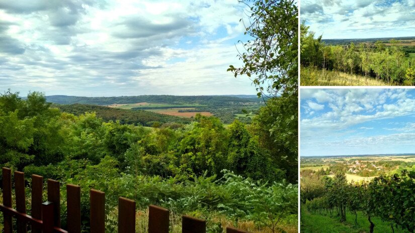 Korlátozott panoráma