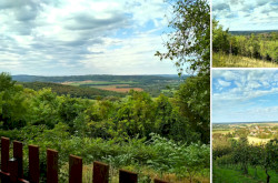 Korlátozott panoráma