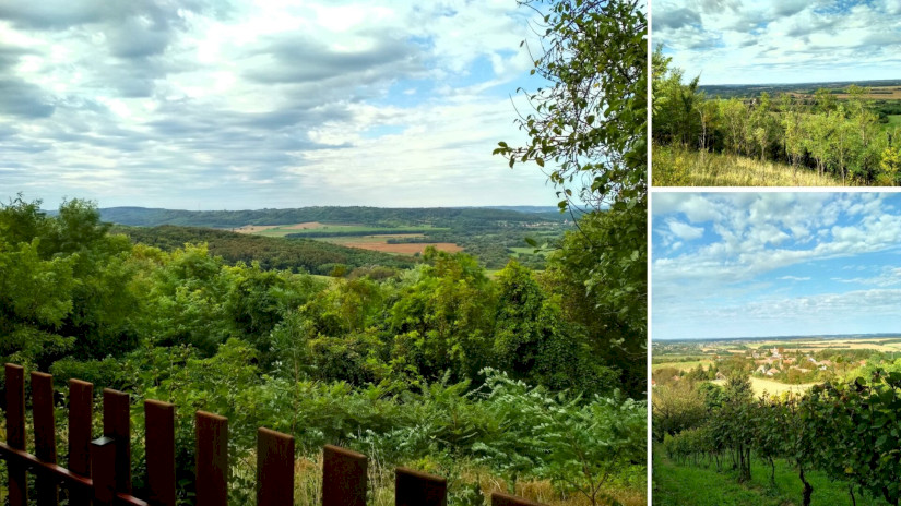 Korlátozott panoráma