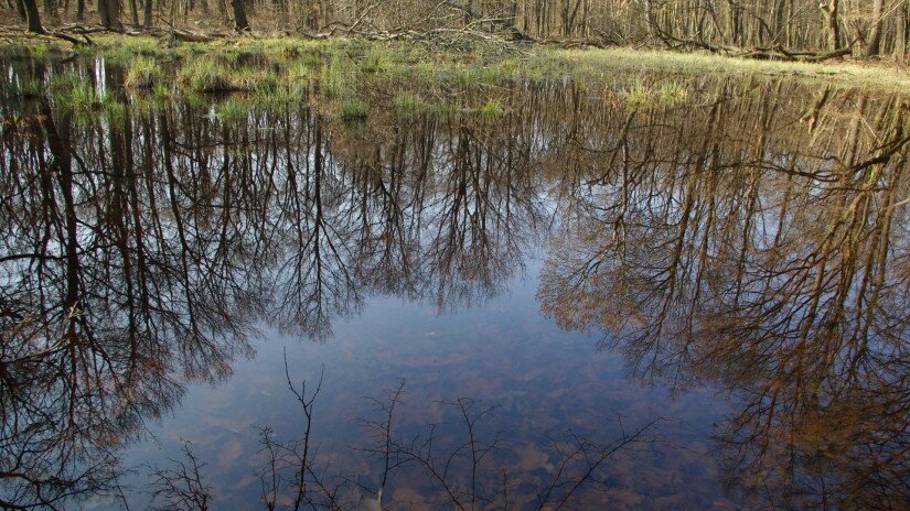 Lake Kis-Rakottyás, Kovácsi Hill