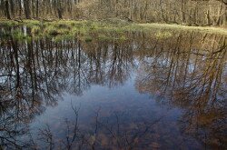 Lake Kis-Rakottyás, Kovácsi Hill