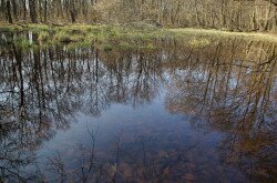 Lake Kis-Rakottyás, Kovácsi Hill