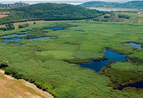 Guided tours on Tihany Peninsula