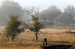 Landscape of the Káli Basin in autumn
