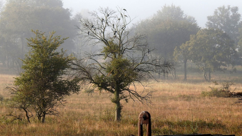 Landscape of the Káli Basin in autumn