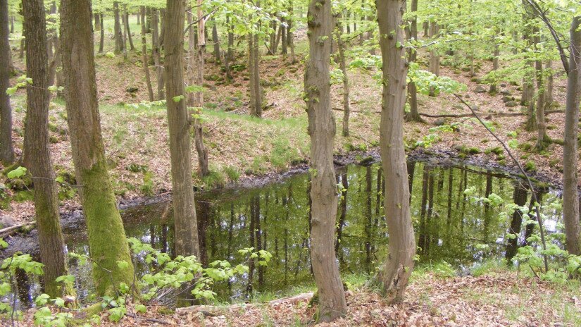 Landschaft vom Kab-Berg