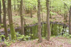 Landschaft vom Kab-Berg