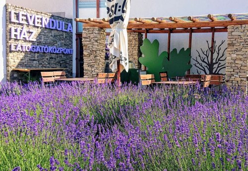 Lavender House Visitor Centre, Tihany