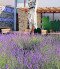 Lavender House Visitor Centre, Tihany