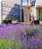 Lavender House Visitor Centre, Tihany