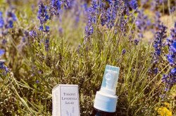 Lavender products: oil and water