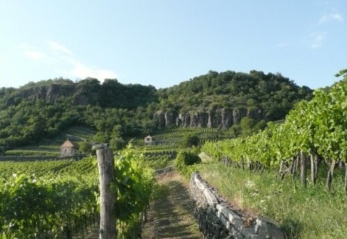 Lehrpfade auf dem Berg Somló