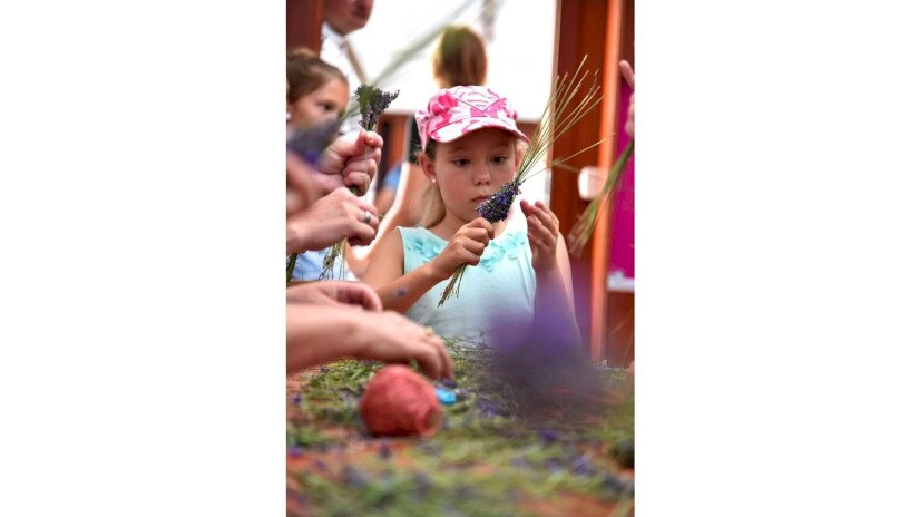 Levendula-buzogány készítés