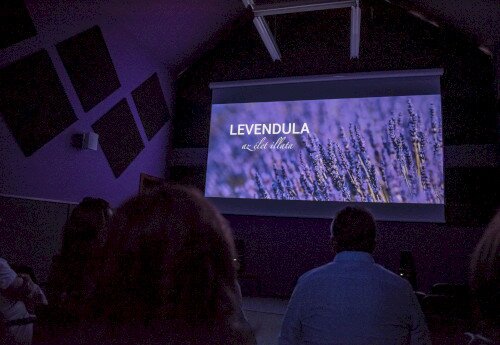 "Levendula - az élet illata" ismeretterjesztő film