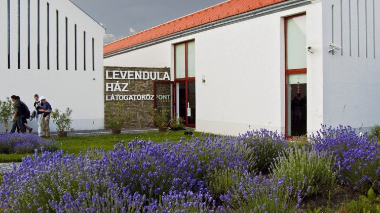 Ermässigungen im Lavendel Haus Besucherzentrum