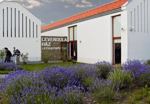 Ermässigungen im Lavendel Haus Besucherzentrum