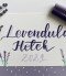 Levendula Hetek – Modern kalligráfia workshop 2021-06-20