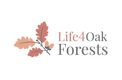 LIFE 4 Oak Forests logo