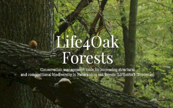 LIFE 4 Oak Forests LIFE16NAT/IT/000245 Természetvédelmi kezelési eszközök a Natura 2000 tölgyesek biológiai sokfélesége szerkezeti és összetételi növeléséhez