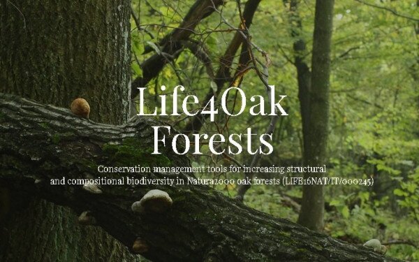LIFE 4 Oak Forests LIFE16NAT/IT/000245 Természetvédelmi kezelési eszközök a Natura 2000 tölgyesek biológiai sokfélesége szerkezeti és összetételi növeléséhez