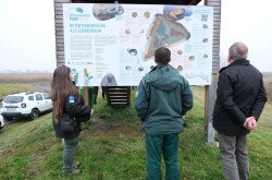 LIFER4MDD konzorciumi partnertalálkozó Ausztriában