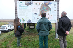 LIFER4MDD konzorciumi partnertalálkozó Ausztriában