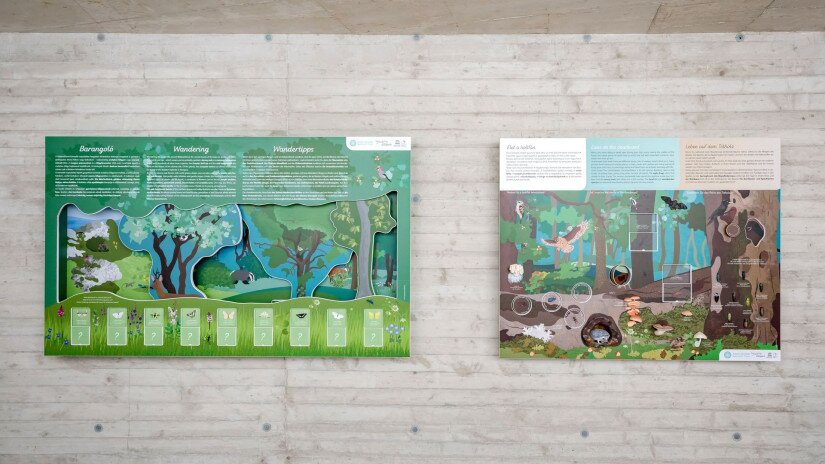 Lóczy-barlang - kiállítás